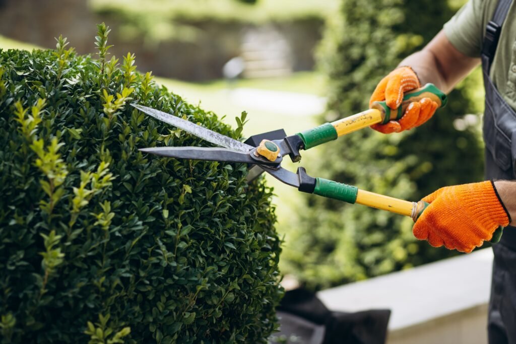 trabajador-jardineria-podando-arboles-tijeras-patio(1)
